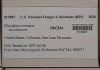 Image Associated With the Occurence